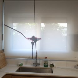 WhatsApp Image 2026-03-26 at 09.24.27 (1)