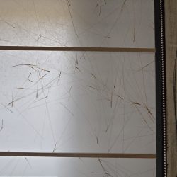 WhatsApp Image 2026-03-26 at 09.26.08 (2)