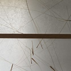 WhatsApp Image 2026-03-26 at 09.26.08 (4)